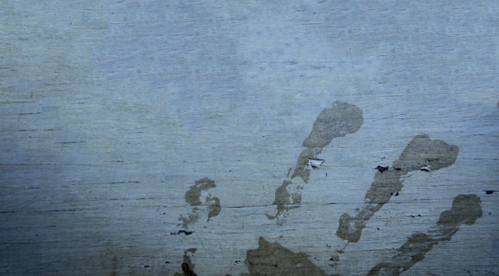 Partial handprint on wood